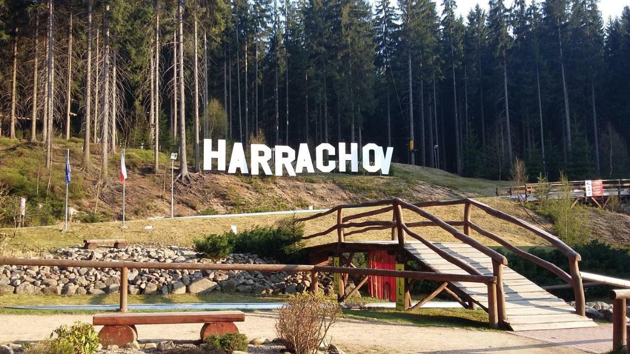 Harrachov Resident Apartments "Terrace & Chill" - High Speed Wifi, Smart Tv, Netflix, Disney Plus Экстерьер фото